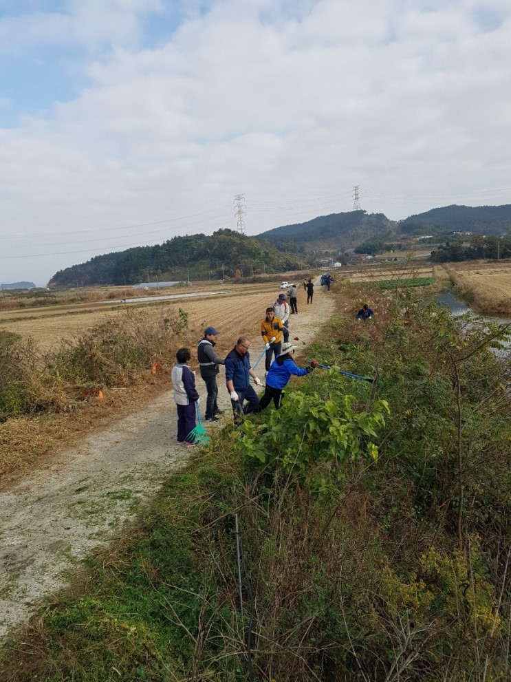 팔봉자율방범대(제초작업)