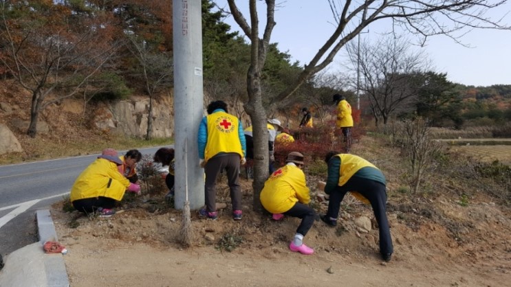 팔봉면 적십자 봉사회