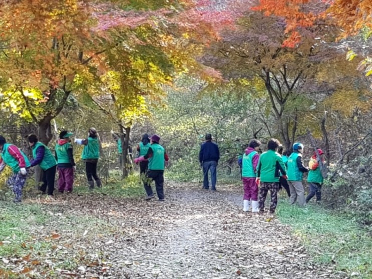 팔봉면 새마을남녀지도자협의회(11월 활동)