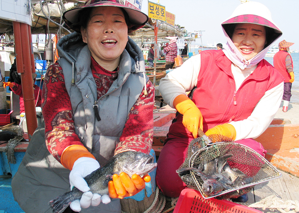 삼길포우럭독살축제 