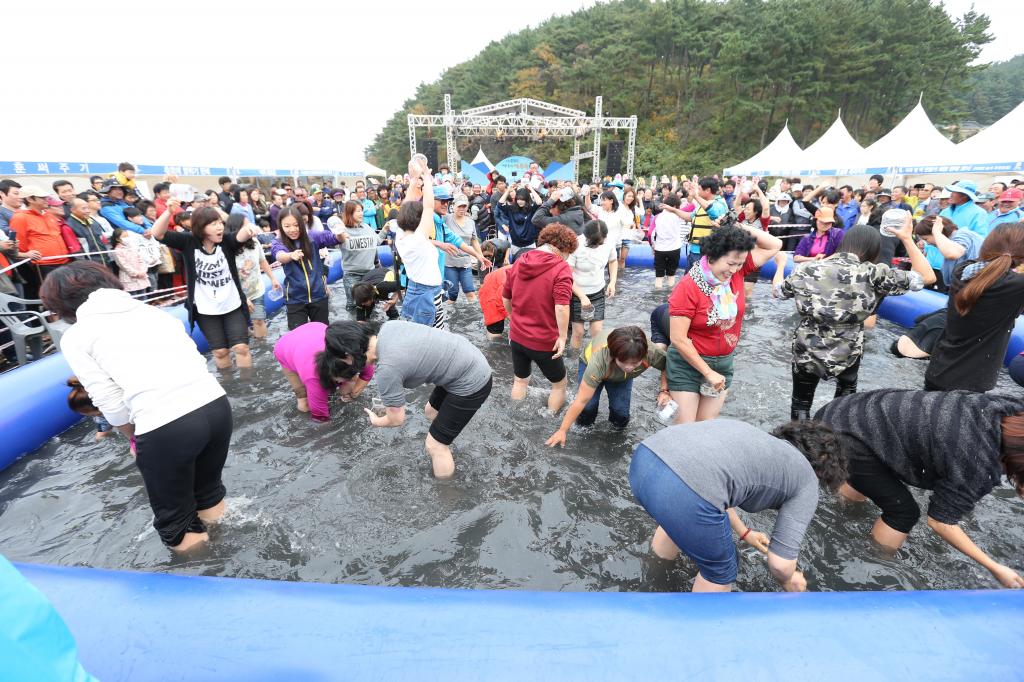 서산 뻘낙지먹물 축제 