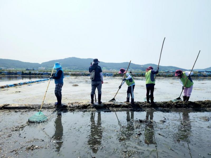  이끼제거 작업